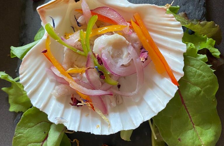 ceviche di cernia