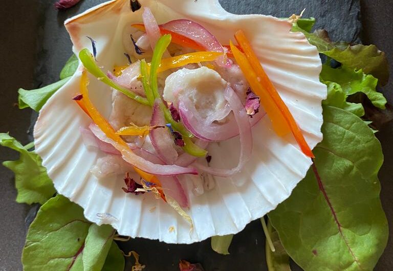 Ceviche di cernia