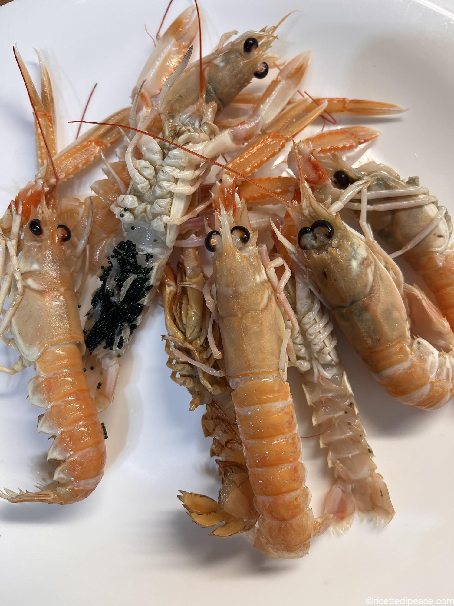 scampi